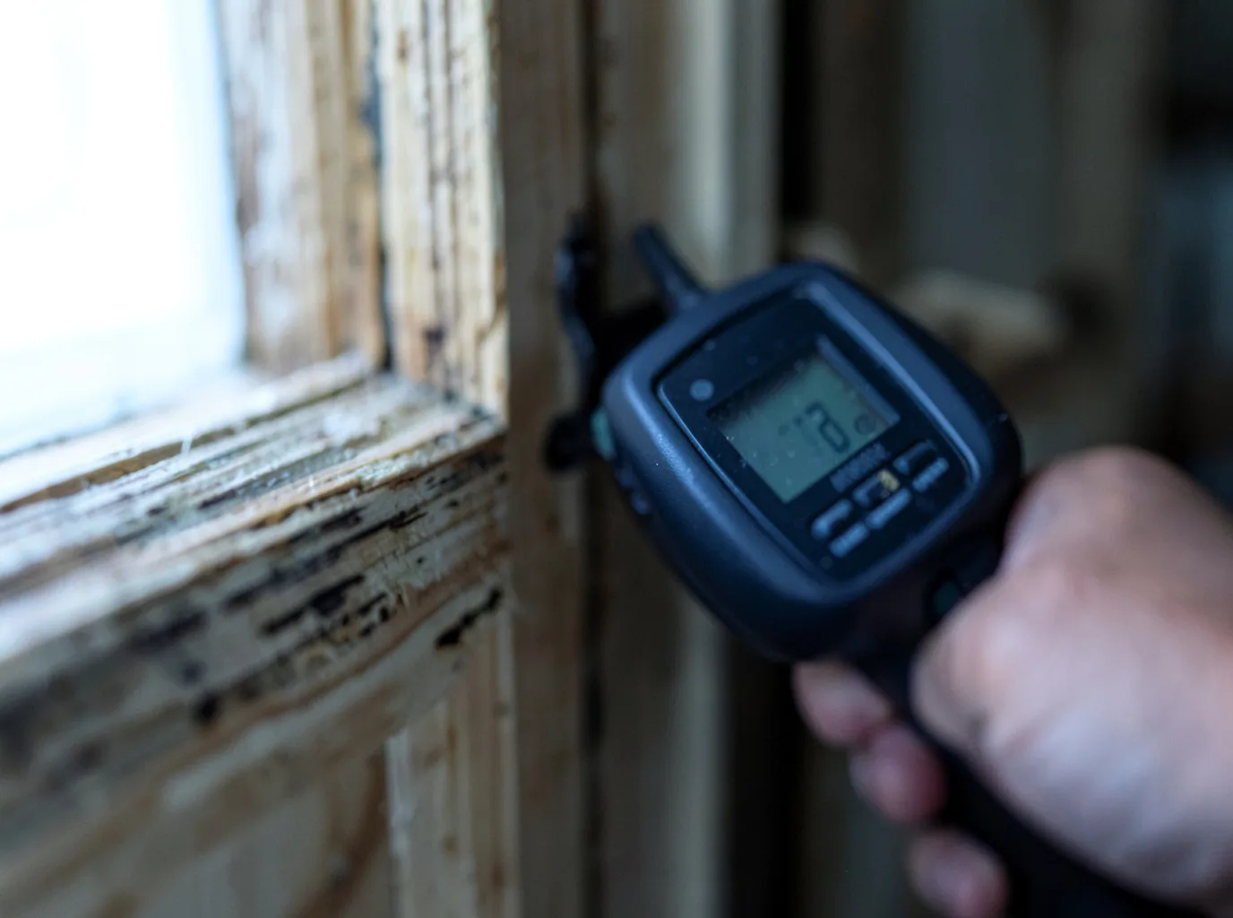 Water Damage Restoration Webster, FL FAQs